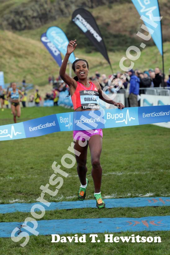 Genzebe Dibaba wins the Internation Womens 3k BUPA Great Edinburgh Cross country.